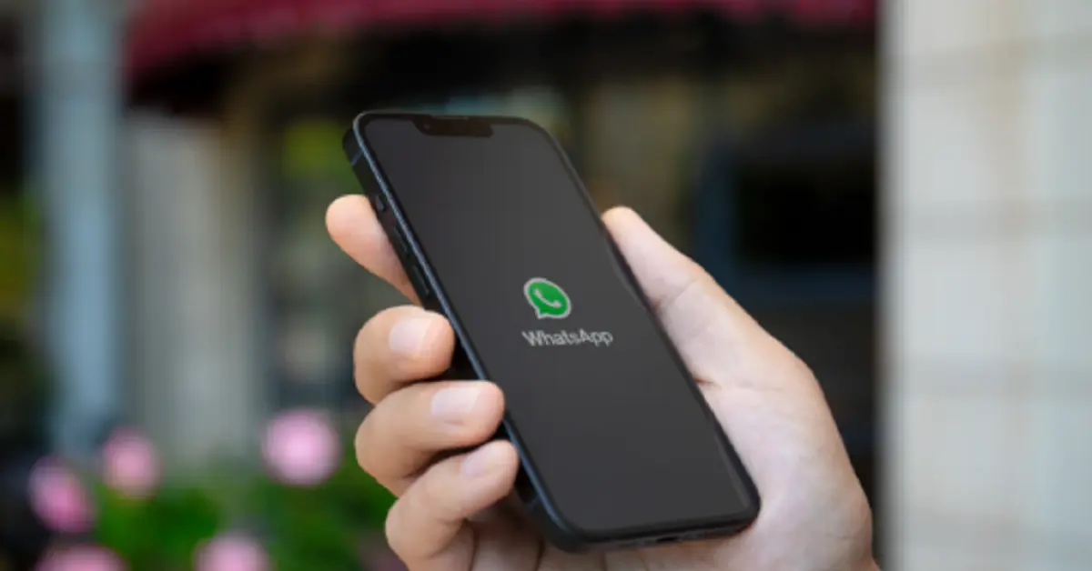 Exploring WhatsApp LogicalShout: Amplifying Your Messaging Experience